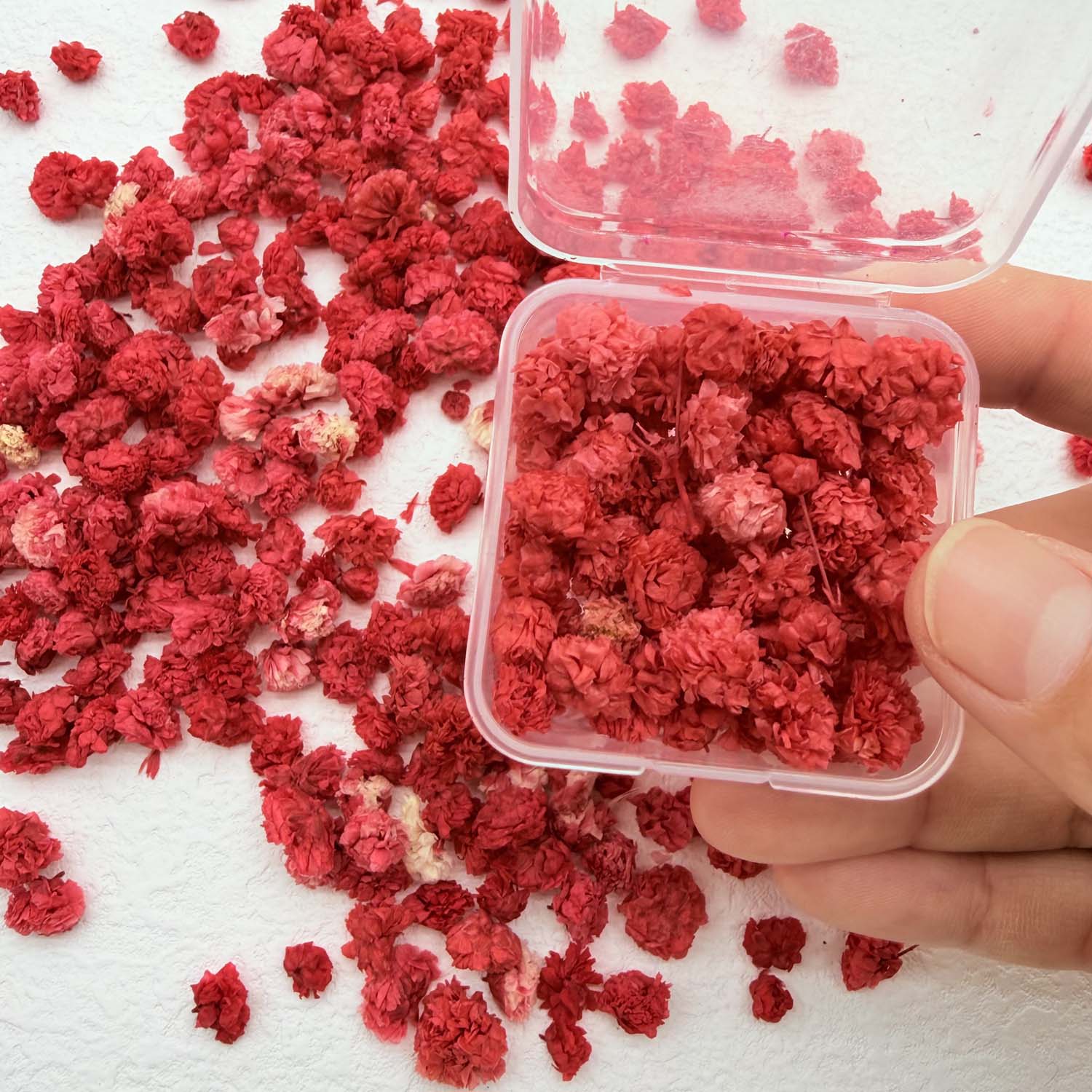 1 коробка разноцветных цветочн – обзор и цена Box Art And Craft